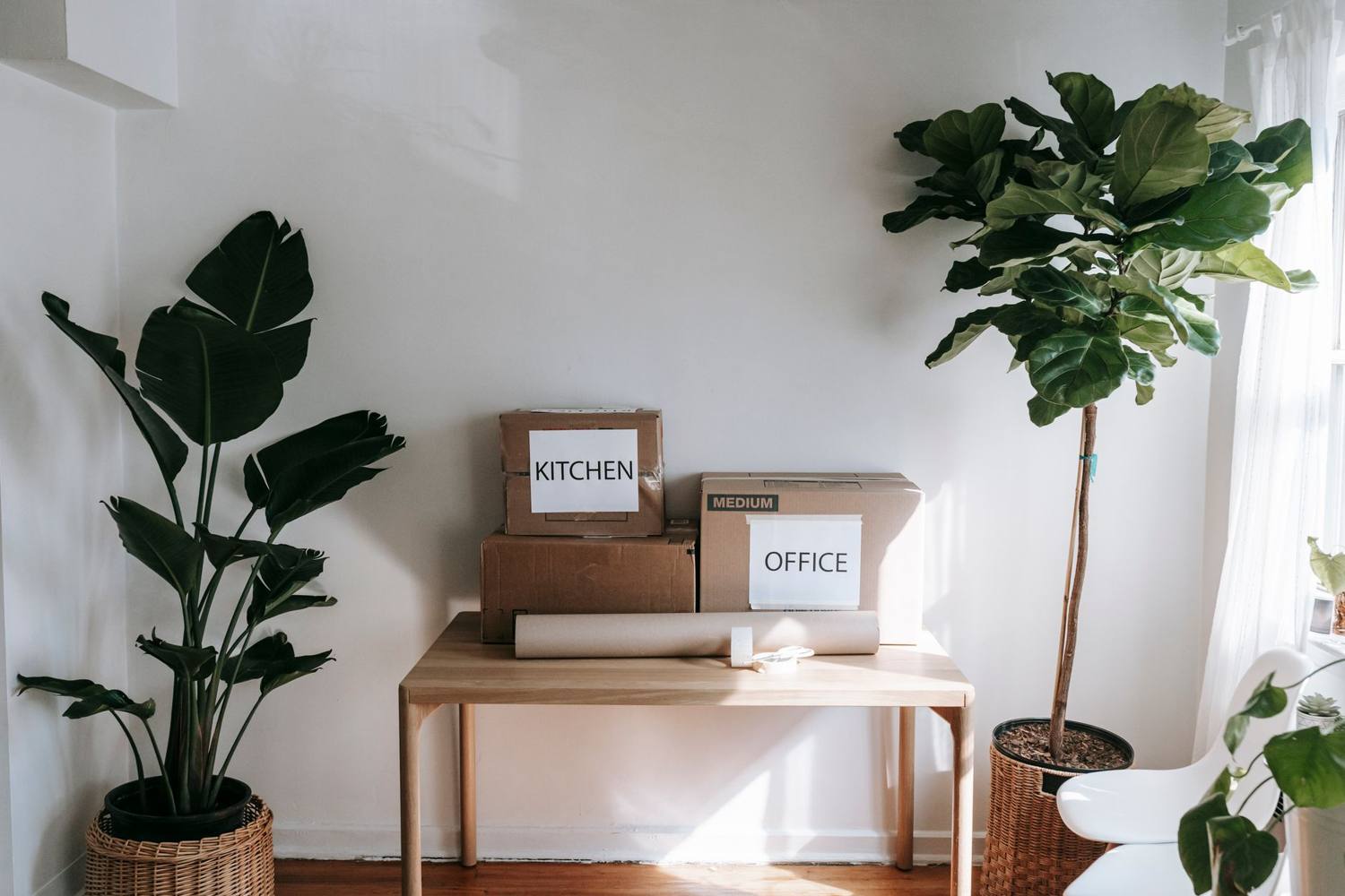 Intérieur élégant avec des boîtes de déménagement étiquetées 'Cuisine' et 'Bureau' sur une table en bois entourée de plantes d'intérieur.